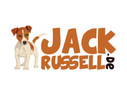 Jack Russell Terrier von der Vogtlandbande Logo VDH